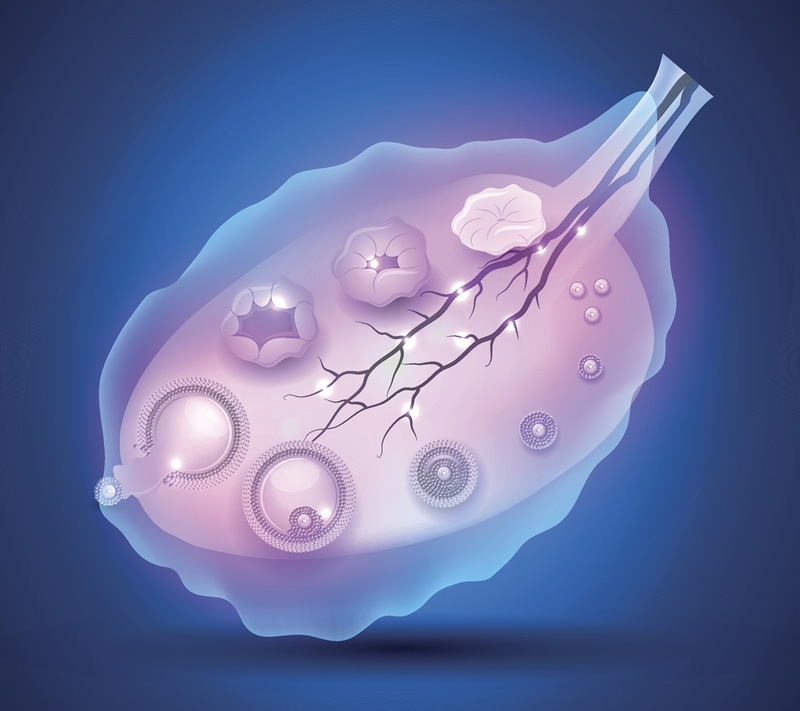 2026年山东试管婴儿医院排名前十强榜单：济南、青岛等地区生殖中心解析，附与费用参考指南